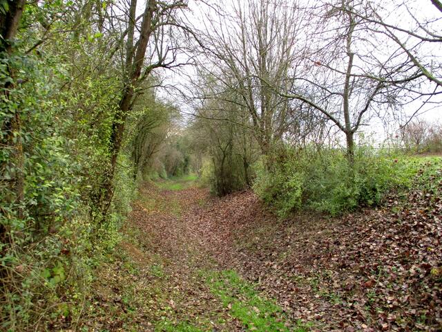 Der Landgraben Abschnitt, der bewandert wurde | Foto: Wandern Gaby Erich