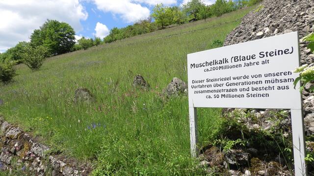 Muschelkalkbeschreibung | Foto: Martin Feucht