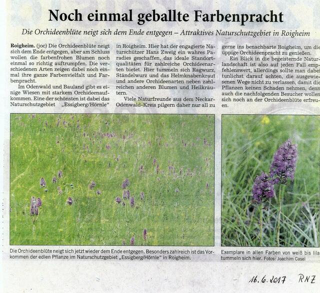 Zeitungsartikel | Foto: Martin Feucht