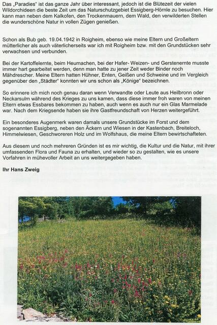 Zeitungsartikel | Foto: Martin Feucht