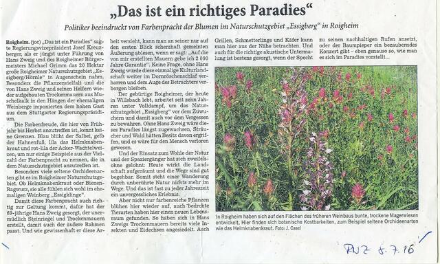 Zeitungsartikel | Foto: Martin Feucht