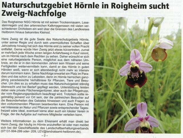 Zeitungsartikel  | Foto: Martin Feucht