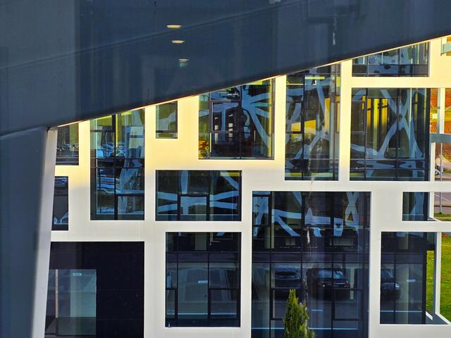 Foto von innen nach aussen | Foto: Heidrun Rosenberger