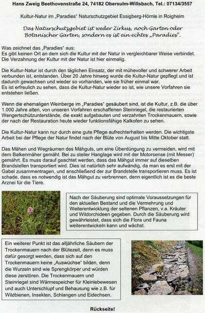 Zeitungsartikel | Foto: Martin Feucht