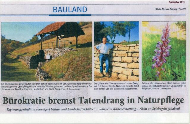 Zeitungsartikel | Foto: Martin Feucht