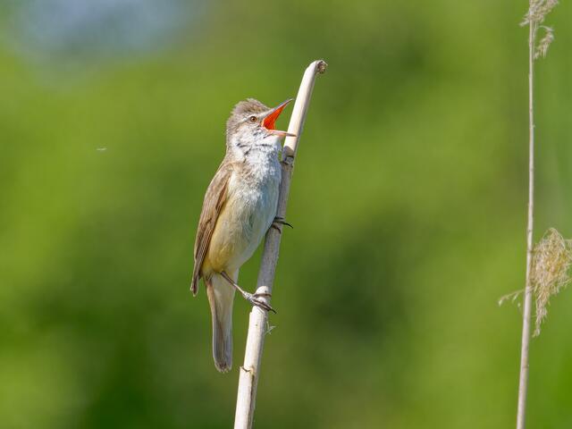 Foto: Eigenes Bild TB