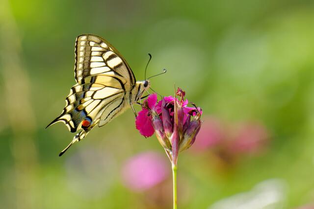 Foto: Eigenes Bild TB