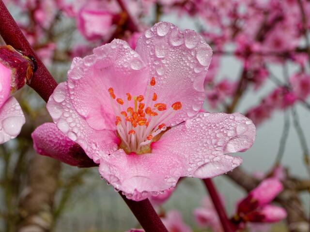 Foto: Eigenes Bild TB