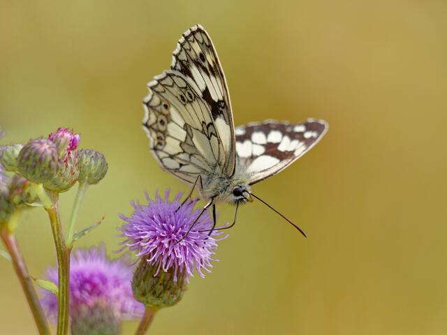 Foto: Eigenes Bild TB