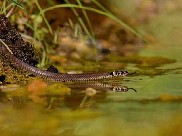 Foto: Eigenes Bild TB