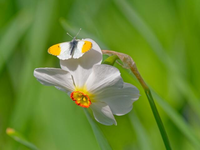 Foto: Eigenes Bild TB