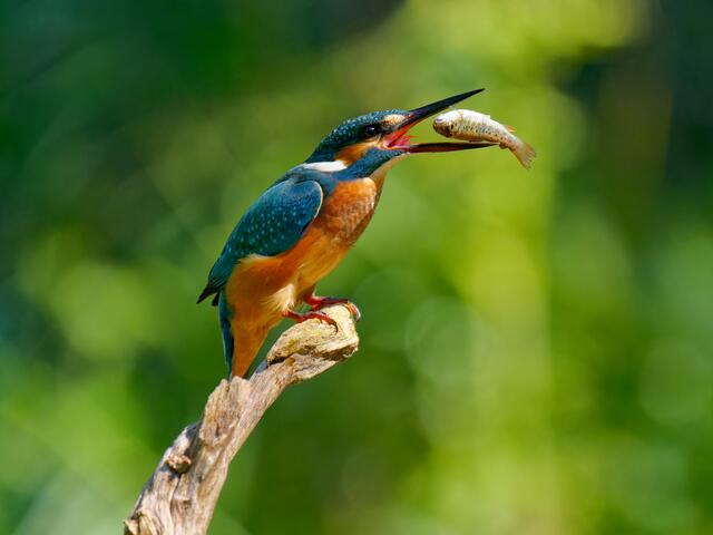 Foto: Eigenes Bild TB