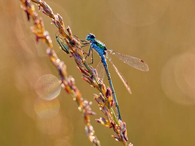 Foto: Eigenes Bild TB