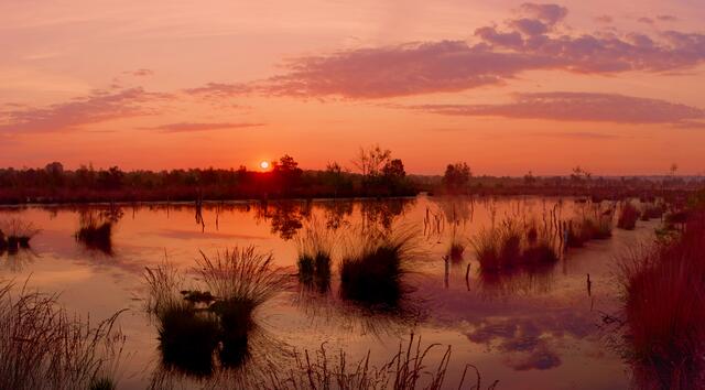 Foto: Eigenes Bild TB