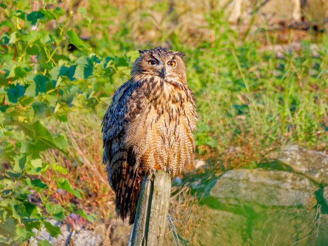 Foto: Eigenes Bild TB