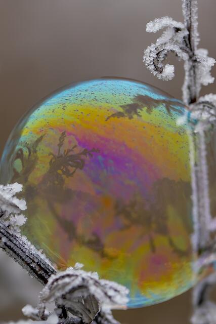 Seifenblasen | Foto: Helga Rosenberger