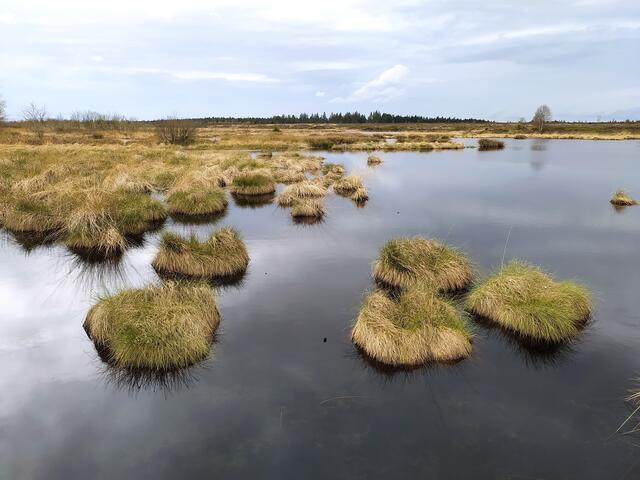 Dieser herrliche See im Hohen Venn hat mich fasziniert.  | Foto: sigischlottke