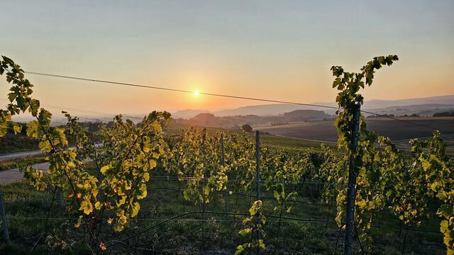 So beginnt ein schöner Morgen: Heinrich Brehm hat ihn mit Blick auf Bitzfeld erlebt. | Foto: Heinrich Brehm