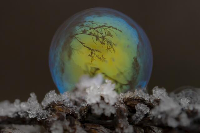 Seifenblasen | Foto: Helga Rosenberger