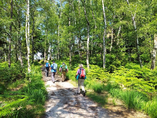 Ein entspannter Abschnitt durch die herrliche Landschaft des Elbsandsteingebirges.  | Foto: sigischlottke