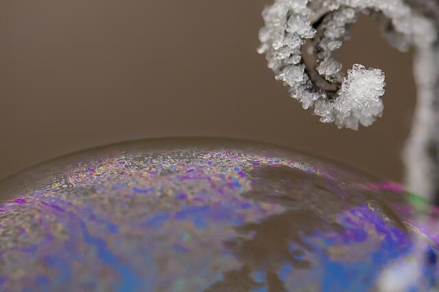 Seifenblasen | Foto: Helga Rosenberger