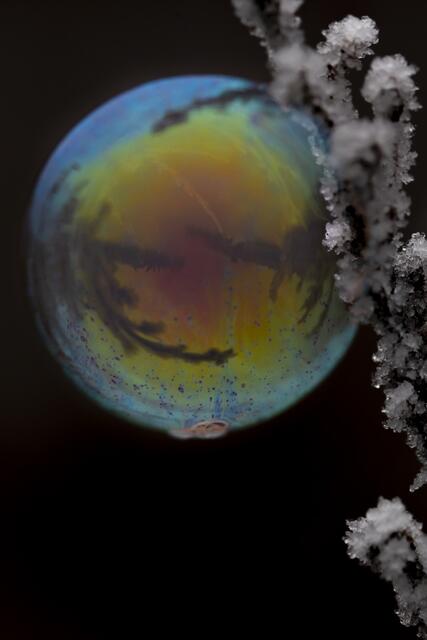 Seifenblasen | Foto: Helga Rosenberger