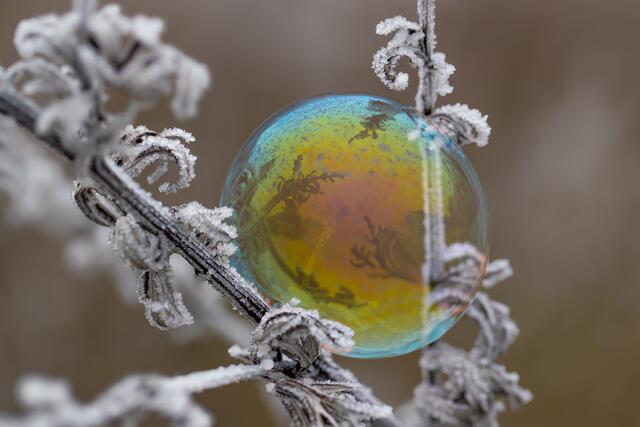 Seifenblasen | Foto: Helga Rosenberger