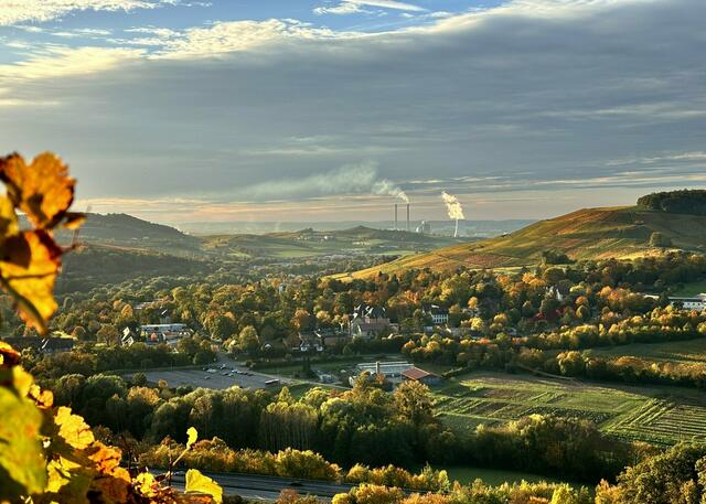 "Blick in die Erlenbacher Weinregion:" So hat Heimatreporter Gerhard Hölzel sein buntes Motiv überschrieben, das das Bild des Monats für die Region Heilbronn geworden ist. | Foto: Gerhard Hölzel