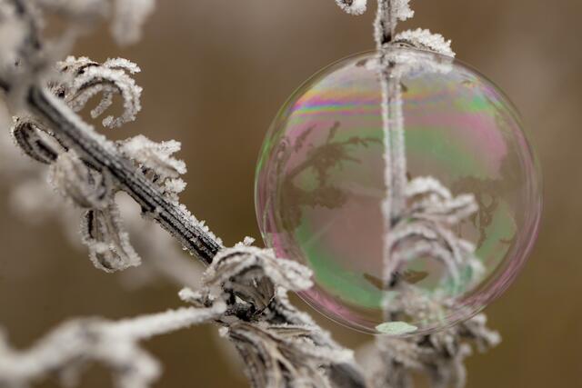 Seifenblasen | Foto: Helga Rosenberger