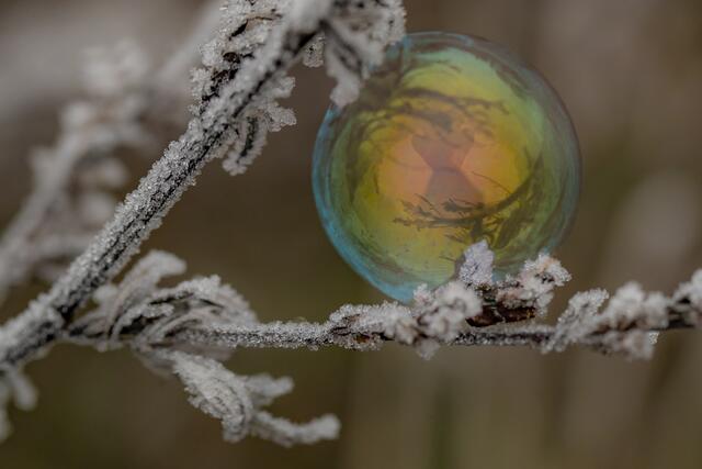 Seifenblasen | Foto: Helga Rosenberger