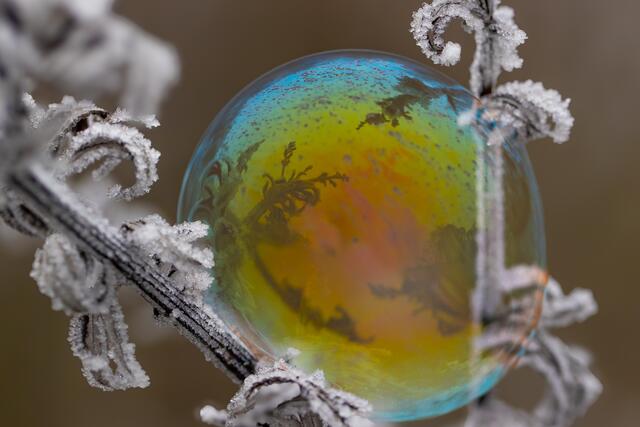 Seifenblasen | Foto: Helga Rosenberger