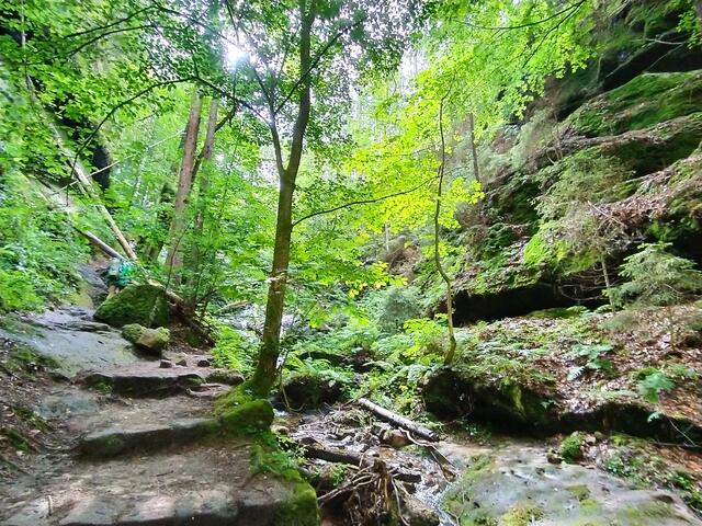 Durch eine wildromantische Klamm führt der Wanderpfad.  | Foto: sigischlottke