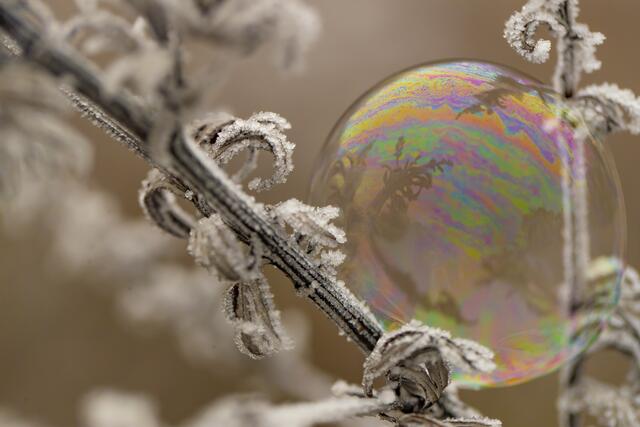 Seifenblasen | Foto: Helga Rosenberger