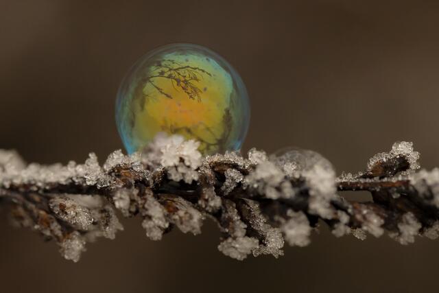 Seifenblasen | Foto: Helga Rosenberger