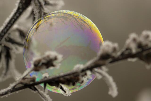 Seifenblasen | Foto: Helga Rosenberger