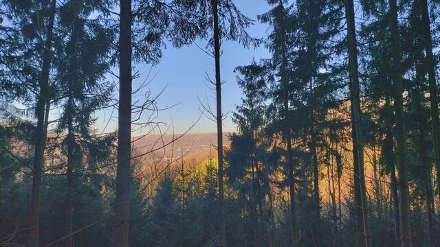 Letztes Mal dieses Jahr😍🥲 | Foto: Ralf Röser