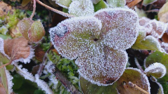 Letztes Mal dieses Jahr😍🥲 | Foto: Ralf Röser