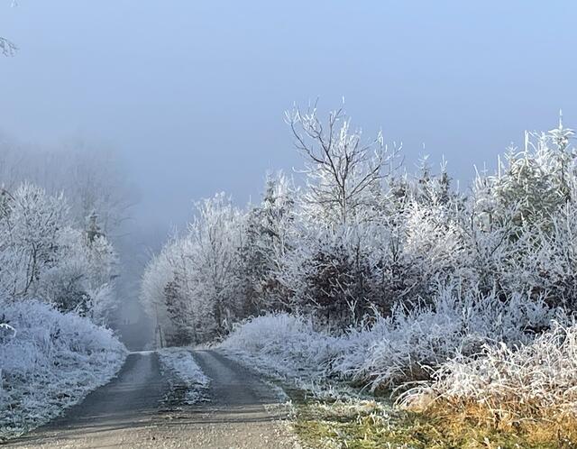 Foto: Urheberrechtlich geschützt