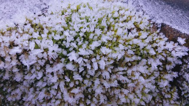 Letztes Mal dieses Jahr😍🥲 | Foto: Ralf Röser