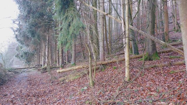 Letztes Mal dieses Jahr😍🥲 | Foto: Ralf Röser