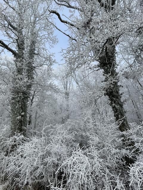 Foto: Urheberrechtlich geschützt