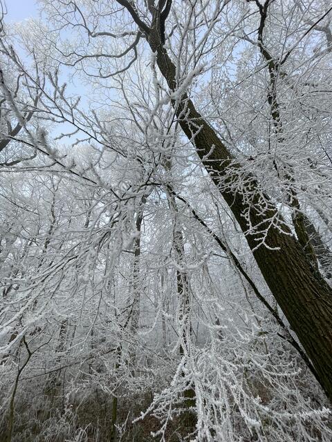 Foto: Urheberrechtlich geschützt