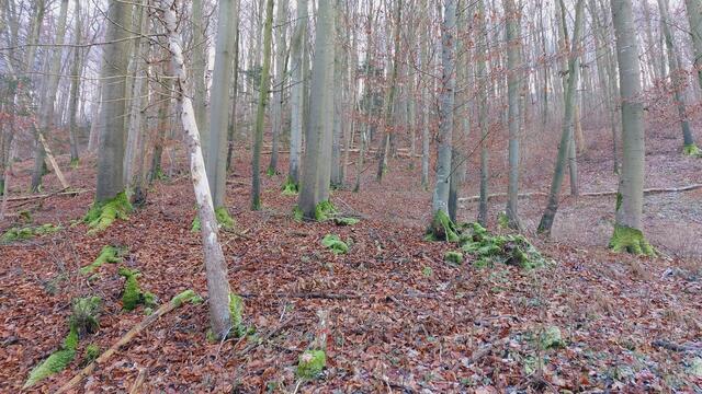 Letztes Mal dieses Jahr😍🥲 | Foto: Ralf Röser