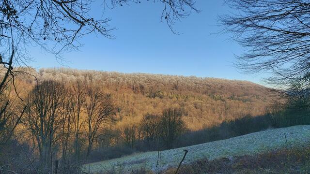 Letztes Mal dieses Jahr😍🥲 | Foto: Ralf Röser