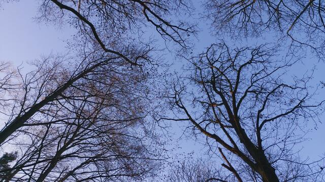 Letztes Mal dieses Jahr😍🥲 | Foto: Ralf Röser