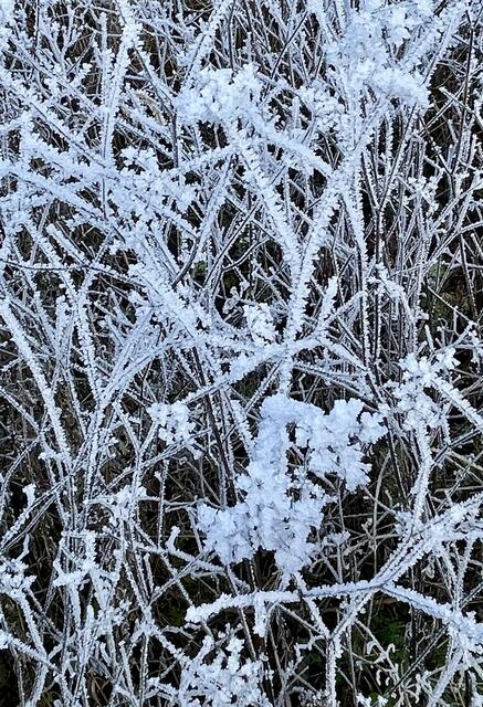 Foto: Urheberrechtlich geschützt