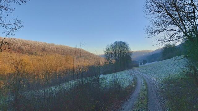 Letztes Mal dieses Jahr😍🥲 | Foto: Ralf Röser