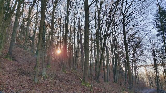 Letztes Mal dieses Jahr😍🥲 | Foto: Ralf Röser