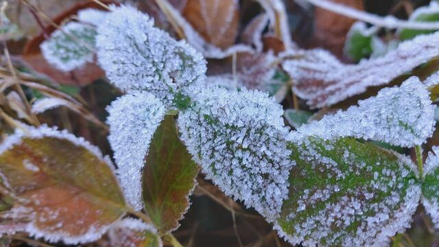 Letztes Mal dieses Jahr😍🥲 | Foto: Ralf Röser
