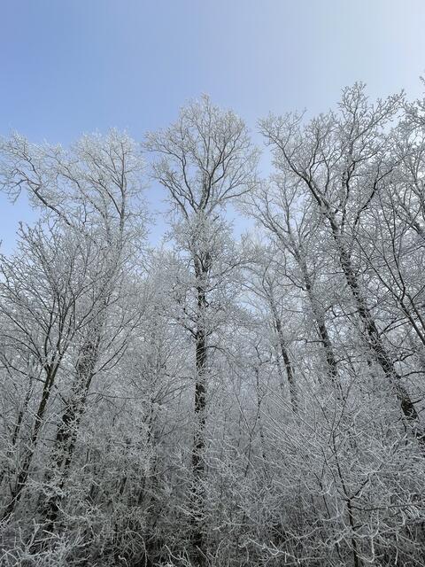 Foto: Urheberrechtlich geschützt